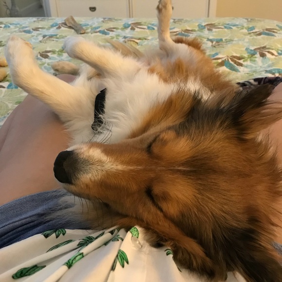 Meet your Posher, Emily - Picture 4 of 6